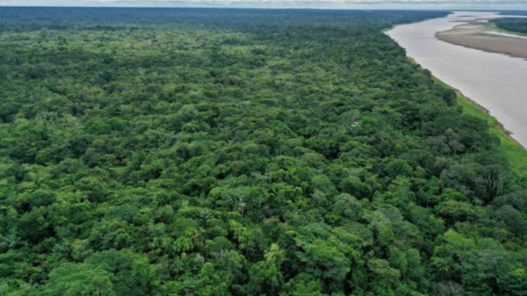 Ecuador puede ahorrarse 527 millones de dólares en deuda con canje para la Amazonía